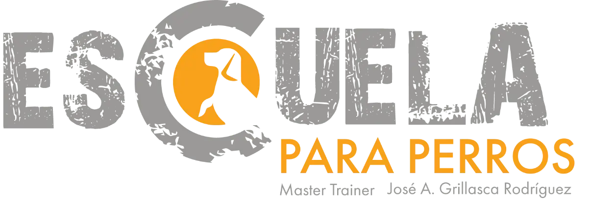Escuela para Perros
